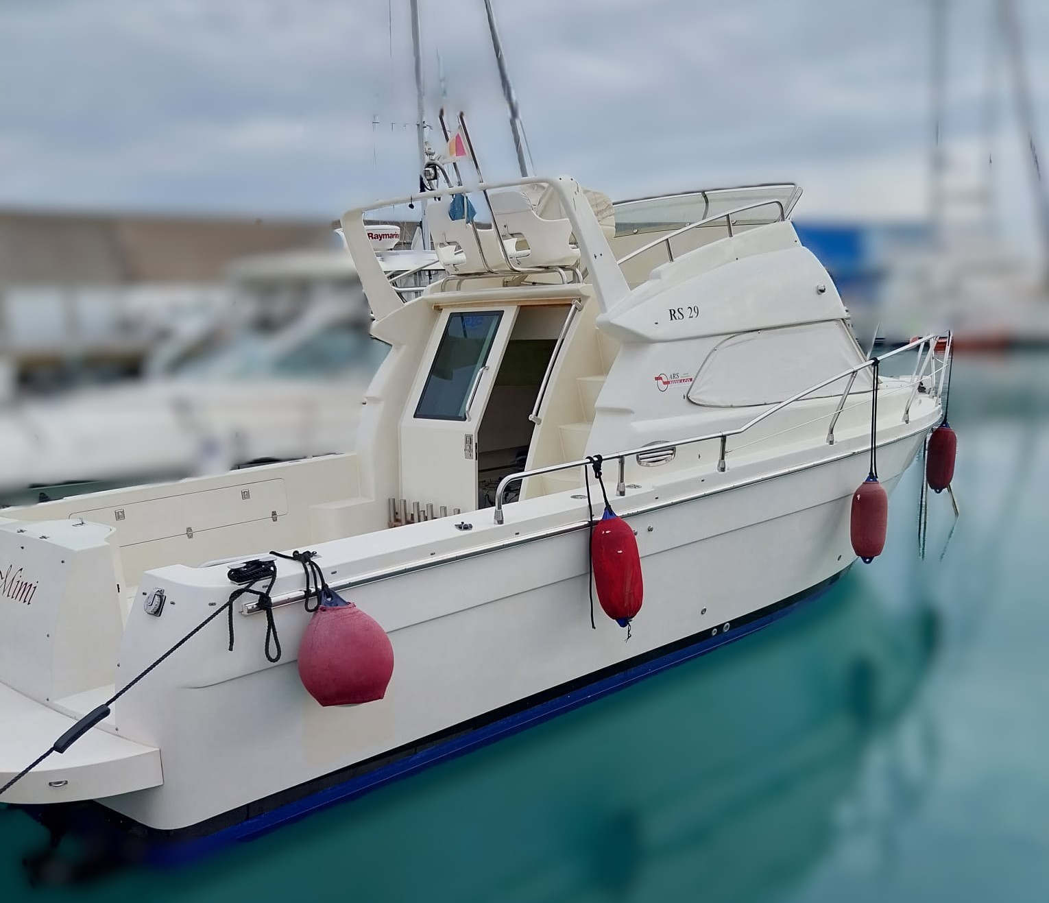 ARS MONACO RS 29 FLY + 2x185HP YANMAR<br><a href=dettaglio.aspx?Id=19 >VAI ALLA SCHEDA</a>